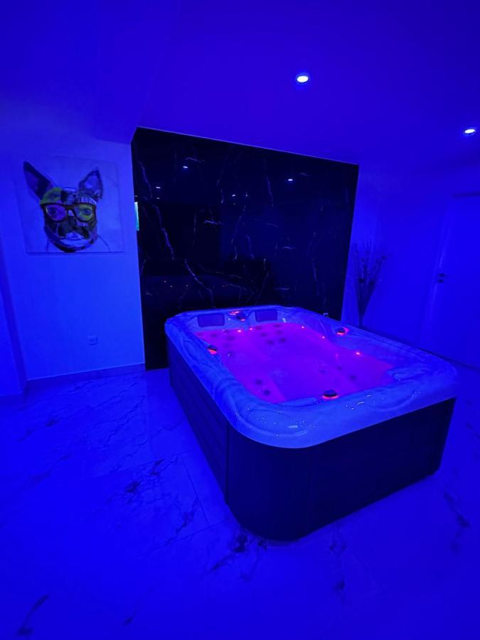 Appartement Cosy Jacuzzi Spa 70M2 Châtenois 외부 사진